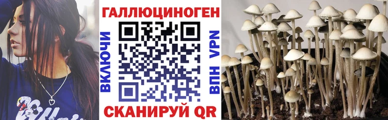 Галлюциногенные грибы Magic Shrooms  как найти закладки  Сусуман 